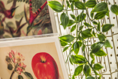 tim_dechent_veranstaltungsfotografie_designgipfel_muenster_2024-37